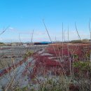 궁평보건진료소 이미지