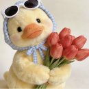 술독군산시점 | 이월. 정신없이 흘러간