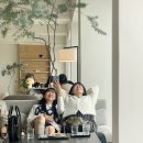 우후농장 | 귤쨩의 나날. 찌그러진 동그라미 일상