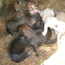 양지농원 이미지