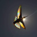 해피팜농장 이미지