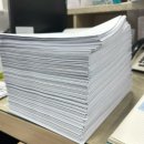 개아나유 이미지