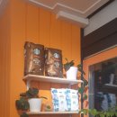 나우커피(Now Coffee)