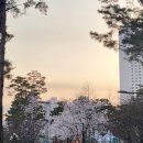 행콩짐 이미지