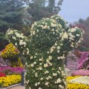 ㈜ 이마트 탐동점 | 10월 갔다했다 11월 부른다 진짜로