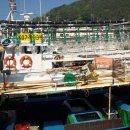 남해군 풍경 이미지