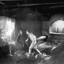 URBAN TREE 39 이미지