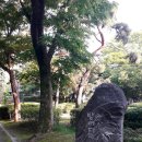 방아다리근린공원 네이버블로그