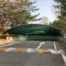 진등로 네이버블로그