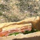 [일상] 스타벅스 샌드위치+그릭 요거트 메뉴 종류 추천 가격 칼로리 후기🥪😋