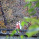 적요 이미지