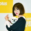 댕댕CLUB 이미지