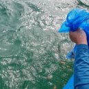 남울진농협온정지점 이미지