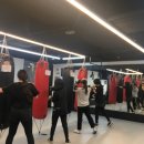 팀제이피 이미지