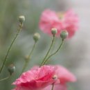 아트인디고 이미지