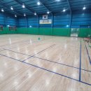 부강배드민턴장 이미지