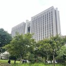 교통사고 나홀로 소송 - 항소심 참석 후기
