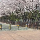 NR-30[달구벌대로]-하-14 | 자유비행