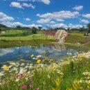 벨라45 오너스 컨트리클럽 이미지