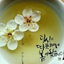 은송이네 이미지