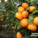 서광자동차랜드 이미지