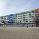 배산초등 이미지