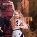 러브로제
