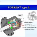 TORSEN 이미지