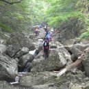 도장골2 이미지