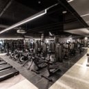 더베스트짐 이미지