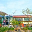 동거차도 구상 페페라이트 이미지