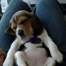 스피드인터넷 이미지