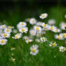 밸런스성형외과의원 이미지