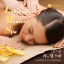 라현의원 네이버블로그