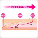 [앗토논] 일본 흉터 연고 : 앗토논 연고로 상처 재생 이미지