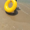 비치식당 이미지