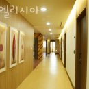 럭스엘리시아산후조리원 네이버블로그