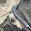 살롱아르르 이미지