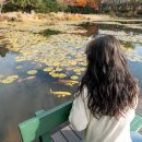 무심교옆 이미지