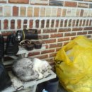 우승농장 이미지