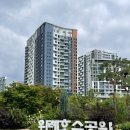 반려식물 테라리움 만들기 | 송파원데이클래스 마녀의숲 이끼 테라리움 만들기 반려식물 추천