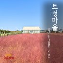 토성 | 청주 소금빵 맛집 핑크뮬리 가득한 청주카페 토성마을 방문 후기