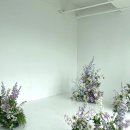 라리플라워 이미지