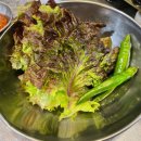 연탄제주도니 이미지