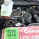 카젠백석점 이미지