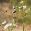 백남준로 이미지