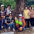 직지사길 이미지