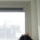 스위첸공인중개사사무소 | 광교 매물, 탑스위첸공인중개사사무소가 전하는 현장 이야기