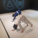거창주짓수 이미지
