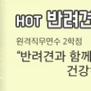 한국이러닝캠퍼스 이미지